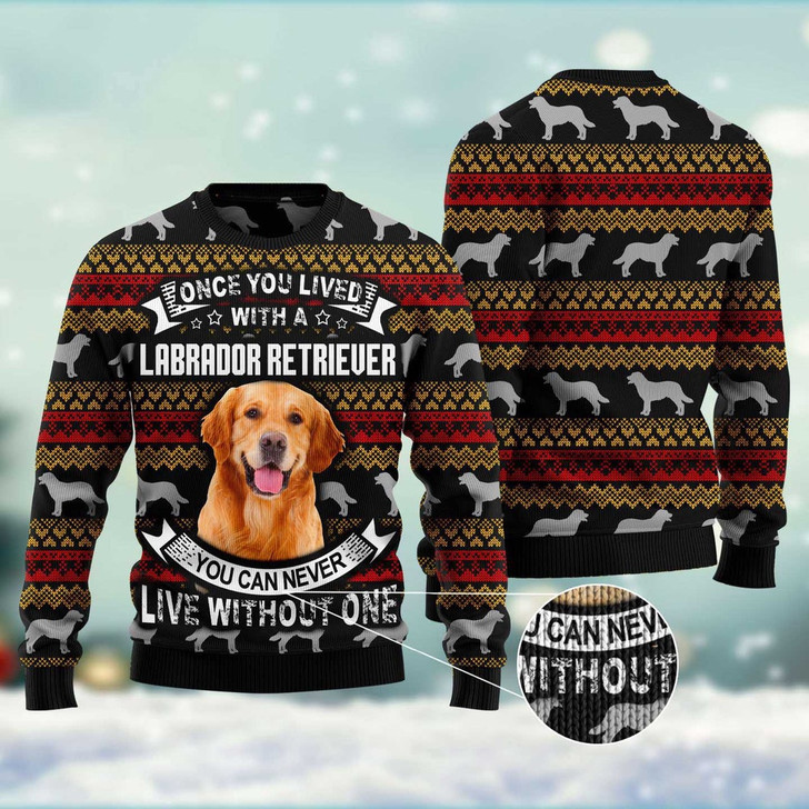 FUNSTUFFPRINT Labrador Retriever Ugly Christmas Sweater, Dog Ugly Christmas Sweater, Ugly Dog Sweaters Ugly  Sweater