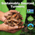 Hands holding Turmeric roots, accompanied by certifications for non-GMO, sustainable, vegetarian sourcing.