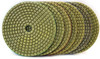  Lavina 5" High Performance Polishing Resin Pads 