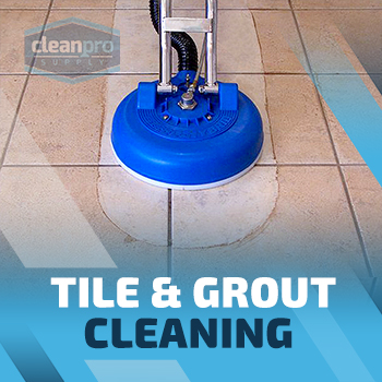 Tile & Grout Cleaning