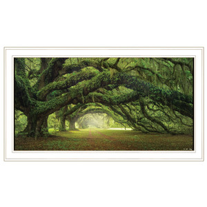 Passage 2 White Framed Print Wall Art N270-406515