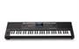 Alesis Harmony 61 Pro 61-Key Portable Keyboard — touch-sensitive keys, 580 sounds, 177 demo songs, 180 rhythms, 30W stereo speakers, backlit LCD display, and DJ-style Mix Mode.