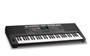 Alesis Harmony 61 Pro 61-Key Portable Keyboard — touch-sensitive keys, 580 sounds, 177 demo songs, 180 rhythms, 30W stereo speakers, backlit LCD display, and DJ-style Mix Mode.