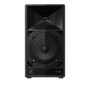 AlphaTheta Wave-Eight front view — portable DJ speaker with 8 inch woofer and soft-dome tweeter