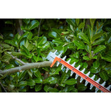 Black & Decker 36V Cordless 2.0Ah 55cm Hedge Trimmer with SAWBLADE™