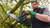 Bosch UniversalChain 18V Cordless Chainsaw Kit (06008B8070-Kit)