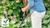 Bosch 18v EasyGrassCut 18V Strimmer (1 x 2ah Battery) (06008C1A71)