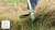 Bosch AFS 23-37 1000W Brushcutter (230V) (06008A070)