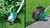 Bosch AdvancedGrassCut 36V-36 Grass Trimmer (Body Only) (0600878N04)