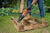 Black & Decker 750W Corded Reciprocating Saw with Branch Holder