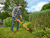 Black & Decker 30cm 550W AFS Strimmer