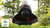 Bosch AdvancedBrushCut 36V-23-750 Cordless Brushcutter Body Only