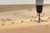 Wolfcraft 6mm Centre Points (2911000)