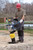 Scheppach VS 1000 vibratory rammer tamper with steel protective frame and 6.5 HP engine for soil compaction.