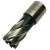 Evolution HT19S Broaching Cutter 19mm x 25mm Length