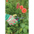 Draper Soft Grip Garden Scissor Set