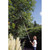 Draper Expert Telescopic Tree Pruner (45334)