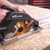 Evolution 185mm TCT Plunge Saw (2x Rails) (R185CCSX+)