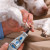 DREMEL Pet Nail Grooming Kit
