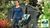 Bosch EasyRotak 32-225 green electric lawnmower with 31L grass box and Ergoflex handles.