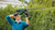 Bosch EasyHedgeCut 18V-50 Cordless Hedgecutter