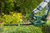 Bosch EasyHedgeCut 45-16 Electric Hedgecutter