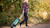 Bosch Fontus 18V Cordless Outdoor Cleaner