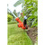 Black & Decker 33cm 36V String Trimmer Body Only