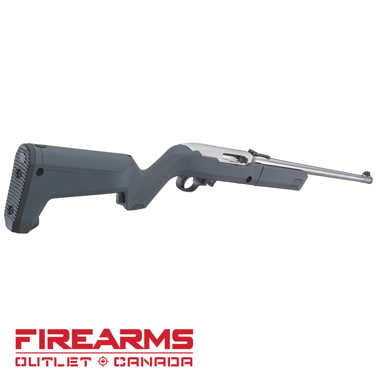 Ruger 10/22 Takedown Stainless Steel (Magpul Exclusive) - .22LR, 16.4", GRY [31152]