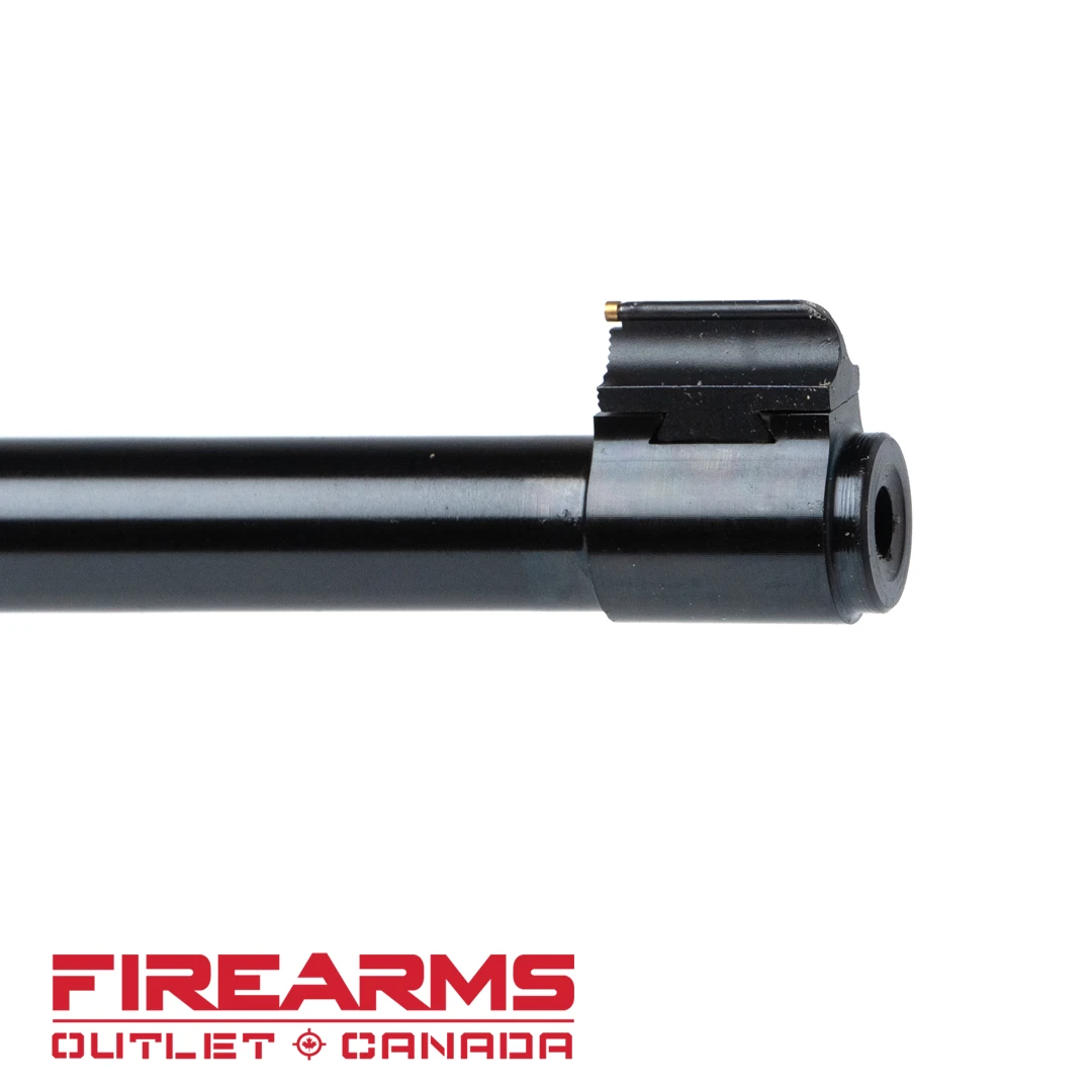 Ruger 10/22 Carbine, America's 250th Anniversary - .22LR, 18.5" [11030]