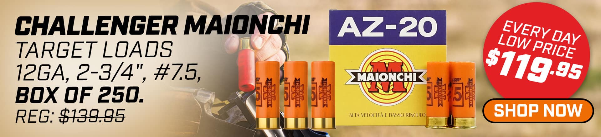 Target Loads 12 GA