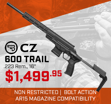 CZ 600 Trail