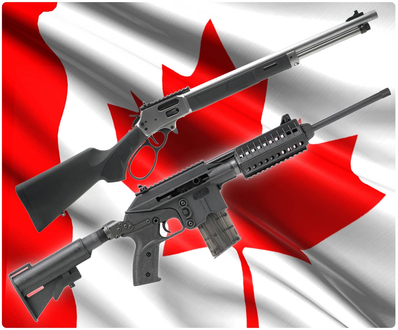 How to Buy a Gun in Canada