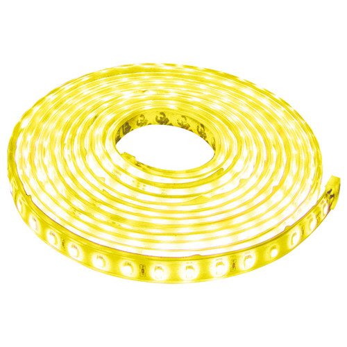 Frontal