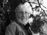 Dermot Bolger (Editor)