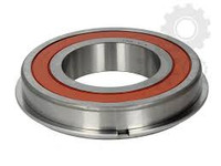 0750116365 BEARING