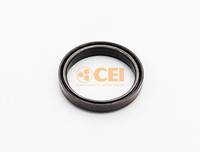 1502385 OIL SEAL