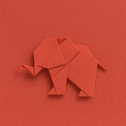 Kyowa Origami Paper 6" – Mandarin Orange Solid Color, 80 Sheets, Made in Japan Kyowa Origami Paper 6" – Mandarin Orange Solid Color, 80 Sheets, Made in Japan