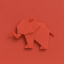 Kyowa Origami Paper 6" – Mandarin Orange Solid Color, 80 Sheets, Made in Japan