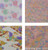 Yuzen Washi Chiyogami Origami Paper 15cm 10 Sheet