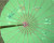6 Pack Green Nylon Umbrella Parasol Dance Decorate 22 in Kid Size