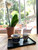 2 Pack Black Kitty Serving Trays Plastic Lacquered Tea Sake Tray Sushi Plates Made in Japan