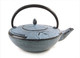 Light Blue Crane Cast Iron Teapot 24oz