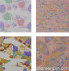 Yuzen Washi Chiyogami Origami Paper 15cm 10 Sheet
