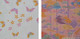 Yuzen Washi Chiyogami Origami Paper 15cm 10 Sheet