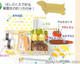 Origami Paper Nigiri Sushi Bento Box Kit