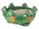 Porcelain Round Lucky Bamboo Daffodil Bonsai Pot