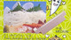 Interchangeable Medium Type Blade for Benriner Turning Slicer / Benriner Cook Helper Interchangeable Medium Type Blade for Benriner Turning Slicer / Benriner Cook Helper