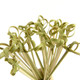 Bamboo Cocktail Picks Skewers for Appetizer Snack Sandwich Finger Food Tapas Fruit Kabob BBQ Hors D’oeuvre Twisted End Knotted Bamboo Sticks, 4 inch, 50pcs Bamboo Cocktail Picks Skewers for Appetizer Snack Sandwich Finger Food Tapas Fruit Kabob BBQ Hors D’oeuvre Twisted End Knotted Bamboo Sticks, 4 inch, 50pcs