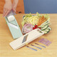 Japanese Benriner Mandolin Vegetable Slicer Ivory Color Japanese Benriner Mandolin Vegetable Slicer Ivory Color